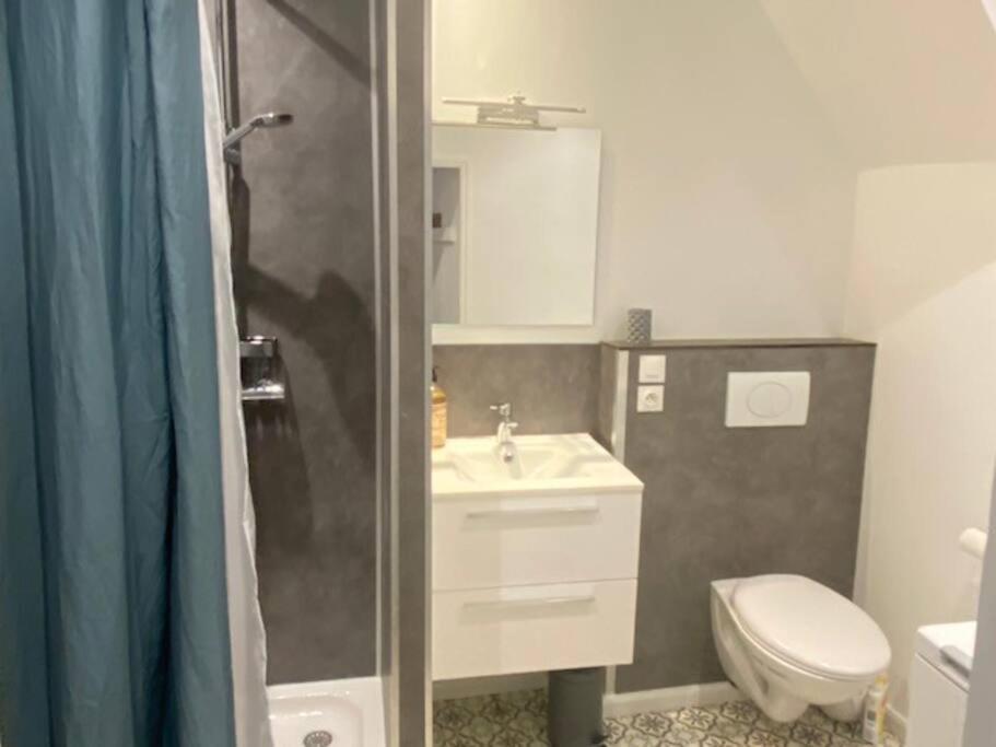Au Petit Bragard- Triplex Proche Centre Ville سان ديزييه المظهر الخارجي الصورة